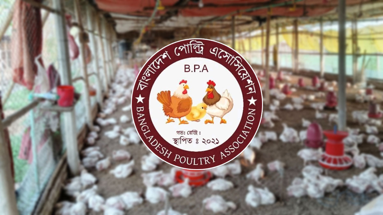 দাবি পূরণ না হলে ডিম-মুরগির উৎপাদন ১ মে থেকে বন্ধ ঘোষণা
