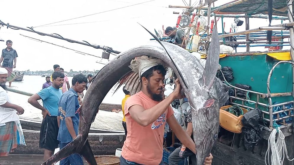 জেলের জালে ধরা পড়ল ৩ পাখি মাছ