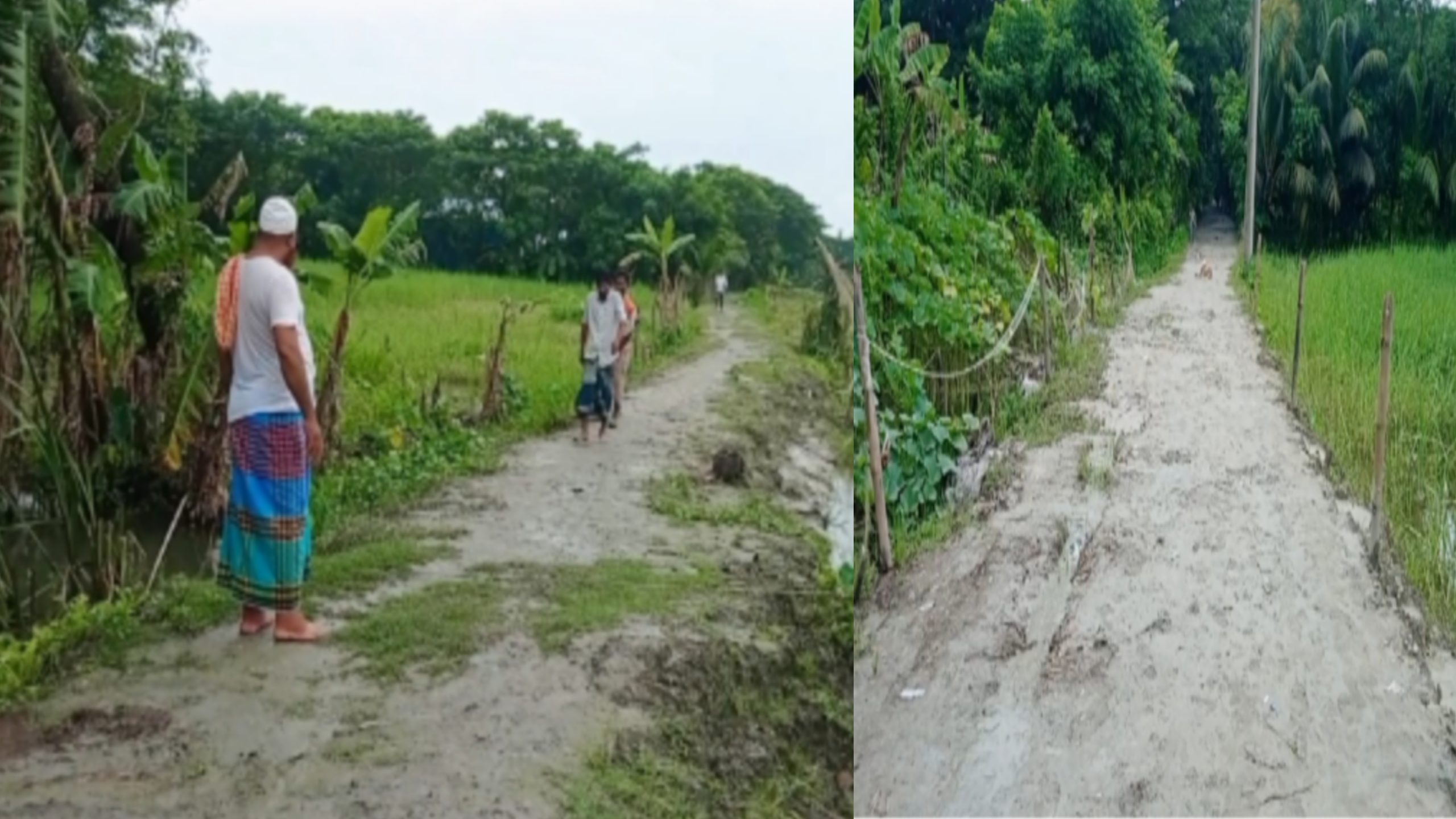 কাবিখা, কাবিটা ও টিআর প্রকল্পের মাধ্যমে বদলে যাচ্ছে চরফ্যাশনের গ্রামীণ জনপদ