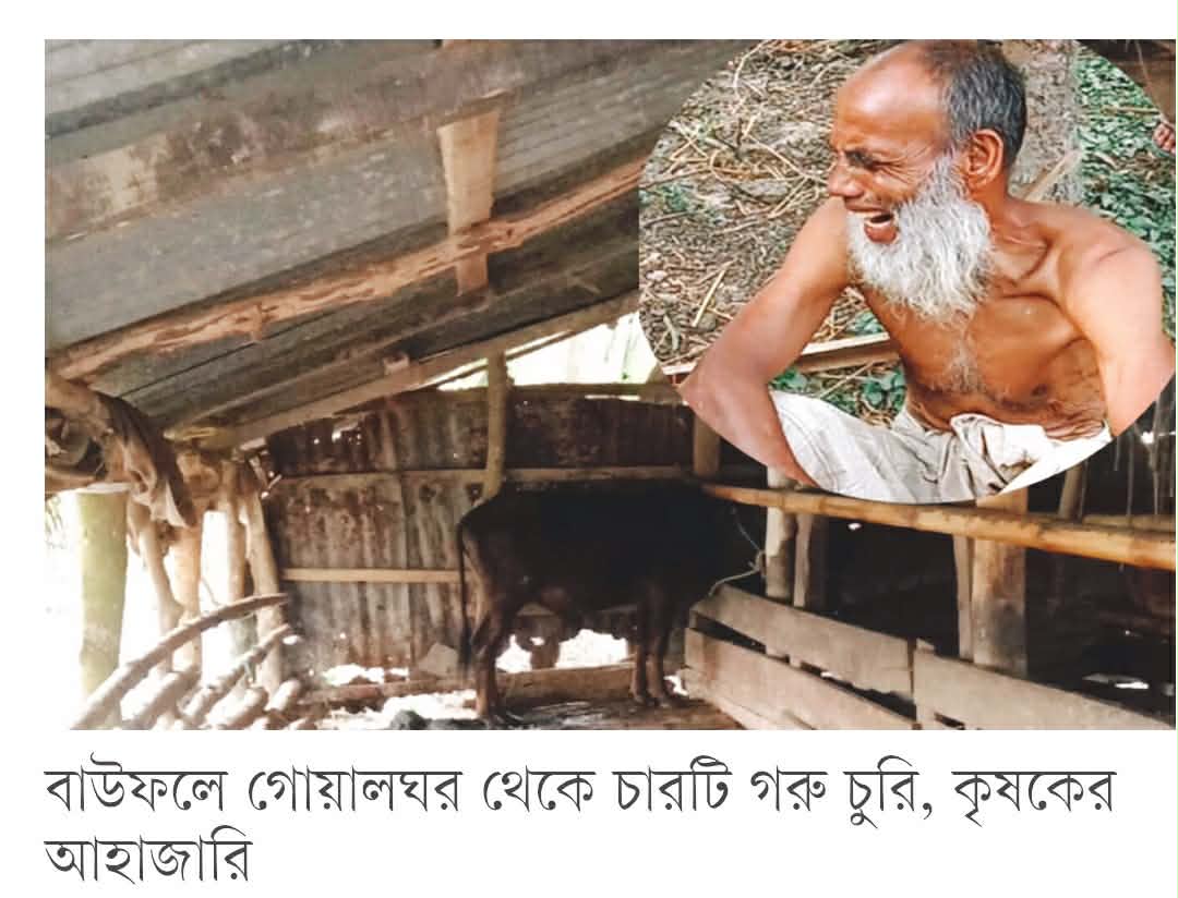 বাউফলে নিঃস্ব কৃষকের আহাজারি